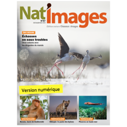 Nat'Images numérique 87